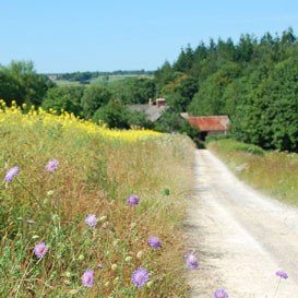 Wychwood_3
