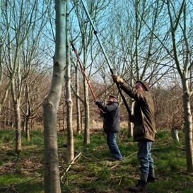 Wychwood_4