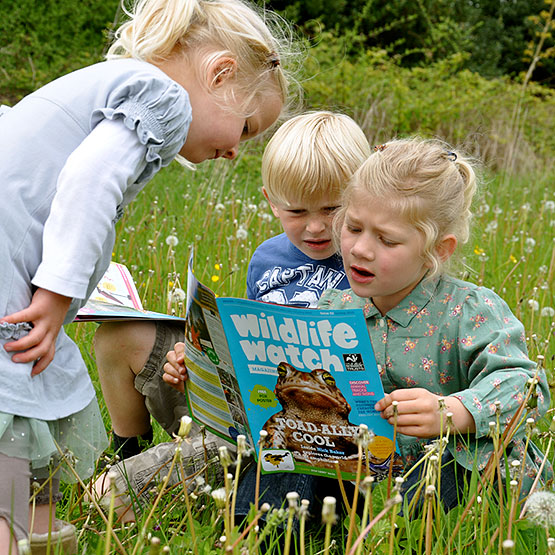 North-Wales-Wildlife-Trust_1