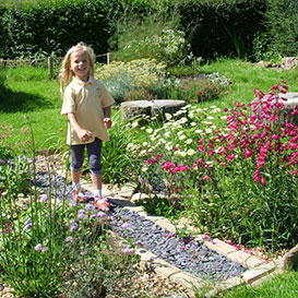 North-Wales-Wildlife-Trust_2