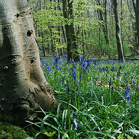 North-Wales-Wildlife-Trust_5